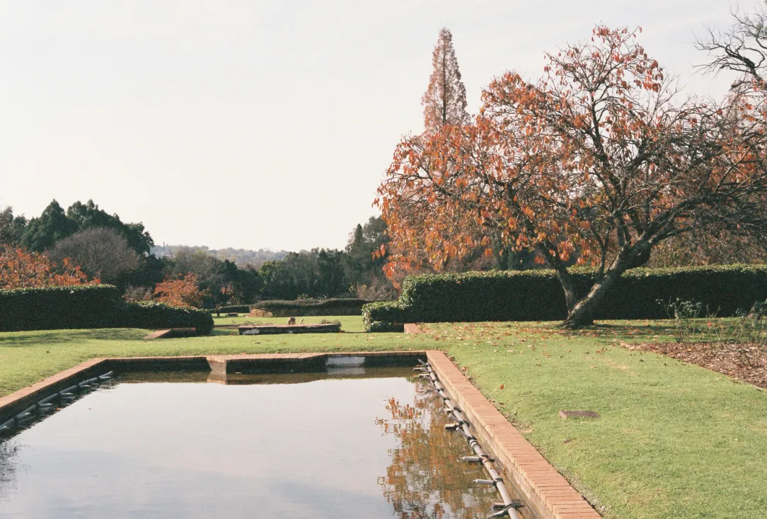 Garden with fall foliage during seasonal cleanup
