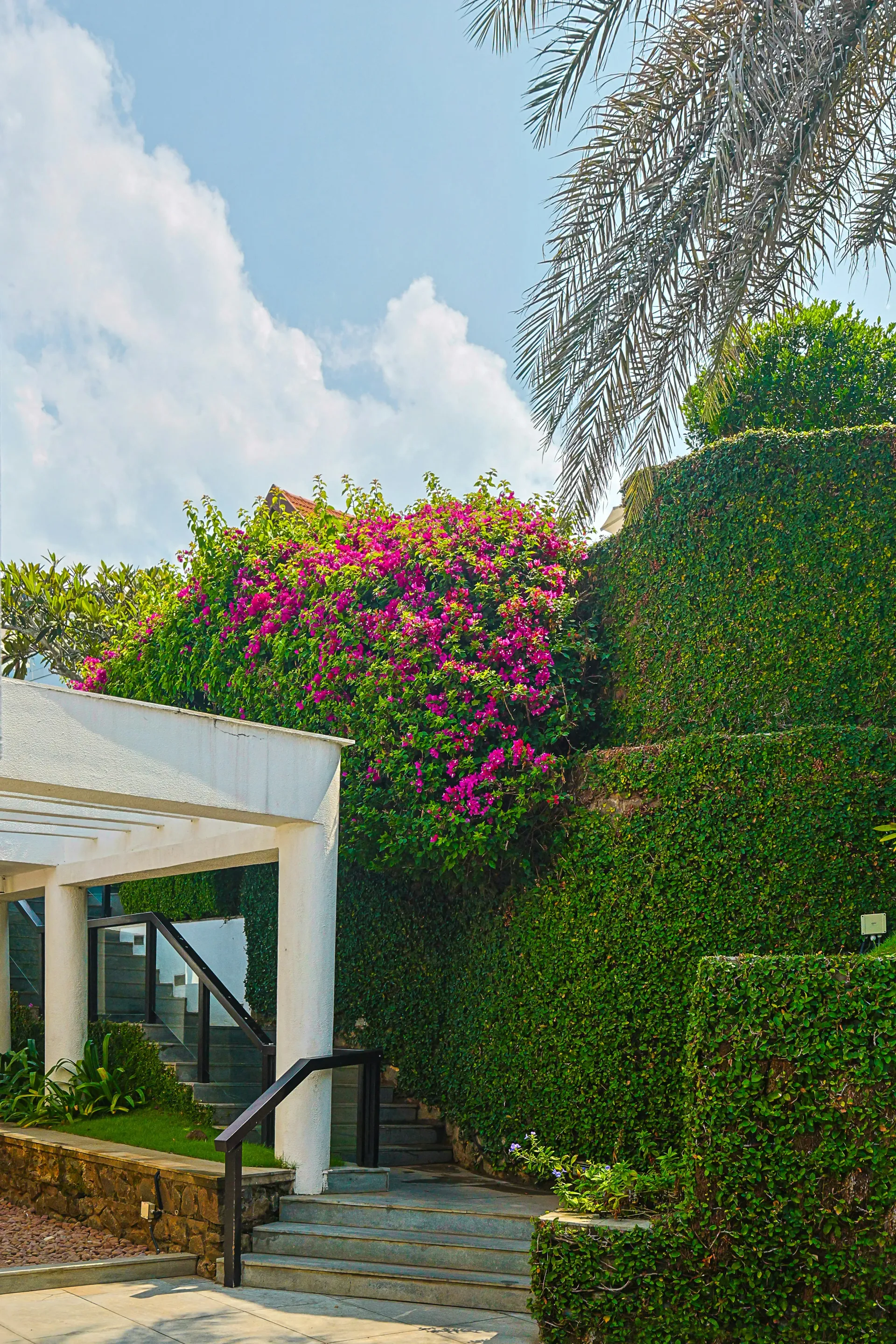 Beautifully designed landscape by Verdant Landscapes